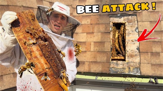 I faced 50,000 live bees and survived! 🐝