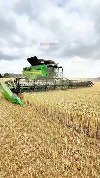 John Deere X9 1100 Combine Harvester with 45ft Header In Wheat #wheatharvest