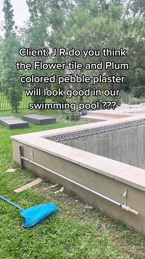 FLOWER Pool Tile? & PLUM Pool Plaster? Pt1 #pool #homeimprovement #remodel #renovation
