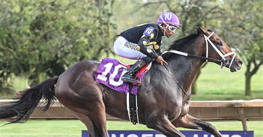 Undefeated Arctic Beast Leads The New York Breeders’ Futurity