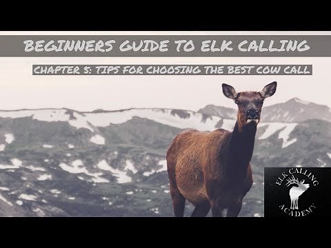 Open Reed Cow Calls | Chapter 5 - Beginners Guide to Elk Calling