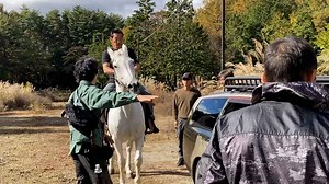 還暦の主演俳優が馬から車へダイブ!?「CGなし、トリックなし」で挑む“ガチ”アクション『最後のミッション』1月16日公開 - SCREEN ONLINE（スクリーンオンライン）