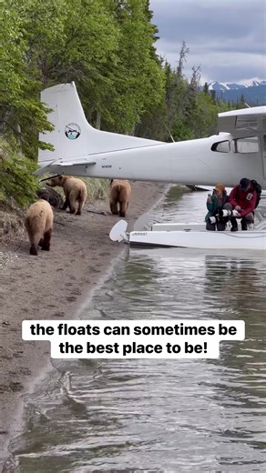 Bears on the Beach: An Alaskan Adventure
