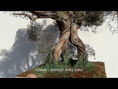 COSTRUZIONE DI UN ULIVO PER PRESEPE O DIORAMA
