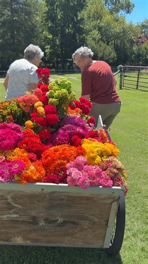 The Flower Farmer Club membership is open! Comment CLUB for the link or go to TheGardenersWorkshop.com at the top of all pages! As summer winds down and fall planting begins! 🍂 Whether you’re wrapping up a busy harvest, starting cool-season sowings, or planning ahead for spring, now’s the perfect moment to get expert support, timely trainings, and the community you’ve been craving. Join us by August 28th and step into the new season with confidence! ✨ Doors Close Soon*! Join now and get instant