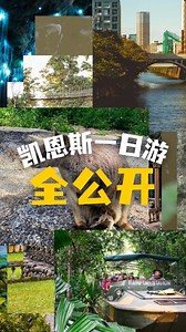 凱恩斯怎麼玩？一日遊行程全公開！ 👇不開車也能輕鬆走跳的熱門一日游，這篇直接幫你搞定✅ 🌴01｜凱恩斯市區觀光一日游 行程簡單，打卡海濱大道、植物園！ 🌿02｜庫蘭達熱帶雨林一日游 搭觀光小火車，漫步熱帶雨林、參觀文化村～ 🦘03｜天空之城袋鼠谷一日游 近距離觀看野生袋鼠，還能深入熱帶農場與瀑布區，一秒沈浸澳洲鄉野氛圍～ 🏖️04｜道格拉斯港一日游 美麗的濱海小鎮＋熱帶雨林「莫斯曼峽谷」徒步，還有棕櫚灘拍不停！ 🦫05｜鴨嘴獸森林夜遊 夜間出發，尋找鴨嘴獸、夜行動物，還有星空陪你散步！ 🌌06｜天空之城＋藍光蟲夜遊 進入童話世界！夜間森林中尋找藍光螢火蟲，夢幻又神秘，加上迷霧山丘的老建築！ 🐮07｜酷牛牧場美食夜遊 在牧場享受道地澳洲燒烤大餐，還有機會親手餵動物！ 📌不管你想體驗自然、文化、美食、動物還是夜間探險，凱恩斯都能一次滿足！ 📩想參加哪個一日游？私訊我幫你排！ #凱恩斯 #凱恩斯一日游 #凱恩斯旅遊 #庫蘭達熱帶雨林 #袋鼠谷 #藍光螢火蟲 #鴨嘴獸夜遊 | 假期旅行社 Holidayxp 澳洲
