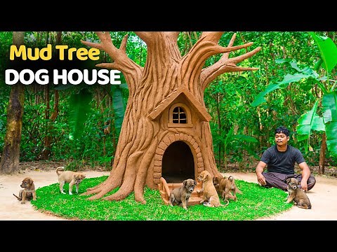 Mud Tree Dog House Construction Puppies Explore Their New Home