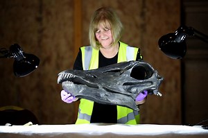 52K views · 369 reactions | Dippy, the 70ft (21m) long replica diplodocus skeleton, opens to the public in Glasgow. 秊 bbc.in/2AZoJxN | BBC Scotland News | Facebook