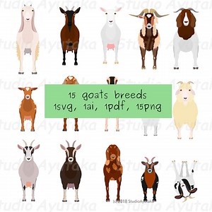 15 Breeds of Goat Clipart Set, Svg, Pdf, Ai, Png - Etsy
