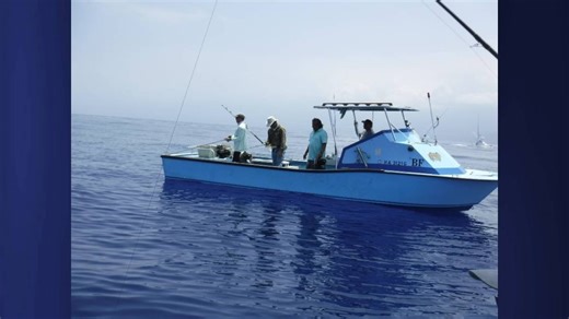 Kaua‘i and Big Island fishermen to trial new tuna tagging technology | Maui Now