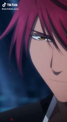 Exploring Bleach Anime Characters and Themes