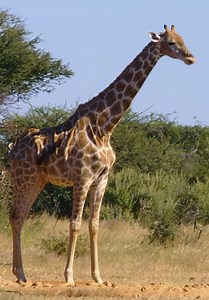 Evolve S01:E01 - Explore