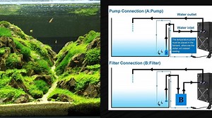 Build Your Own Aquarium Chiller – Step By Step Guide - Our Aquariums