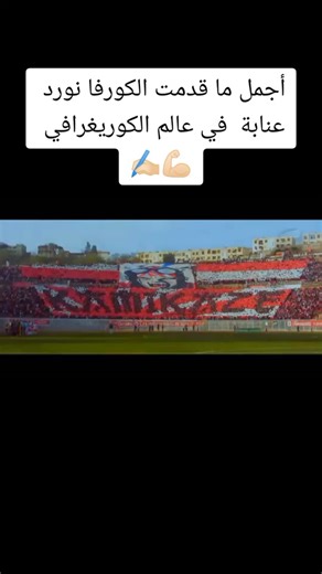 #CURVA_NORD_ANNABA #HOOLIGANS #les_indepandants_de_bone #annaba23 #إتحاد_مدينة_عنابة❤🤍🔥