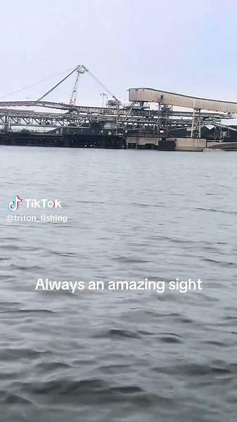 Dolphin Sighting During Coastal Fishing Adventures