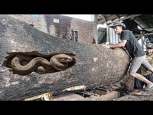 Unexpected Disaster at Sawmill Causes Huge Losses