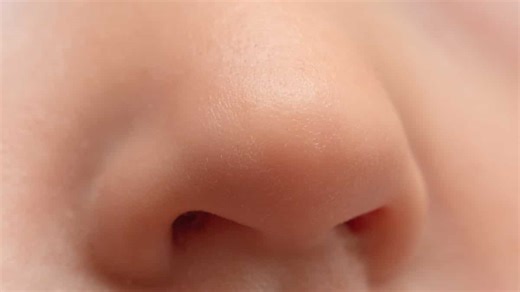 Scientists explain why humans have two nostrils and not just one