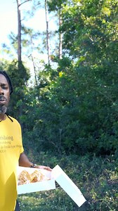 302K views · 16K reactions | Alligator family road trip : only in Florida #florida #onlyinflorida #omgitswicks | Omgitswicks | Facebook