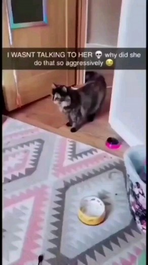 Funny Watermelon on Instagram