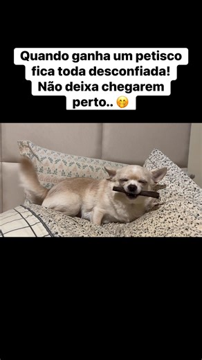 Zoe no Mundo on Reels