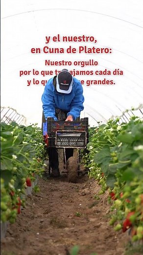 Día Mundial de los Frutos Rojos