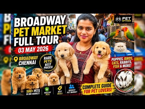 🔥 Broadway Pet Market Chennai Full Tour 2026 | Rare Pets, Puppies, Birds & Prices 😍🐶🐦