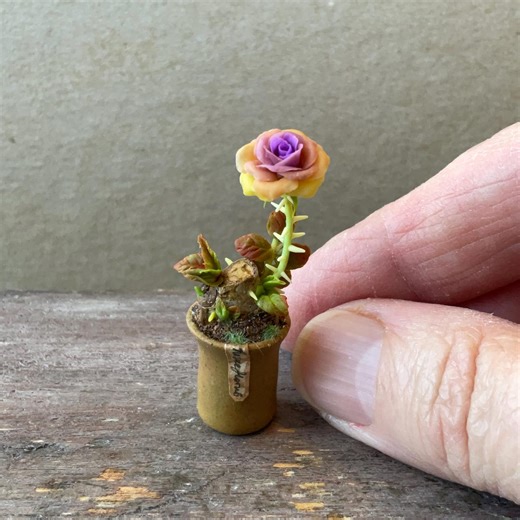 1:12 Scale Purple to Orange Roseaflorus Rose - Etsy