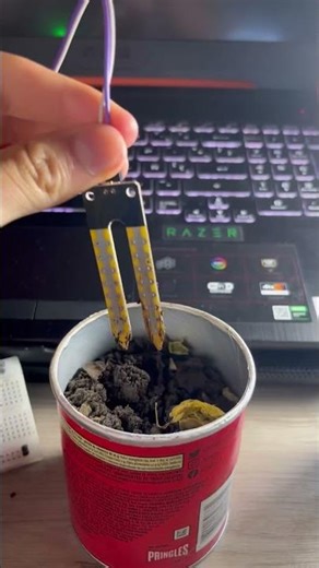 Sensor humedad planta #electronics #arduino