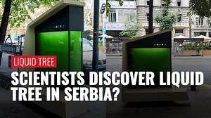 A Liquid Tree? Scientists in Serbia Make Incredible Innovation