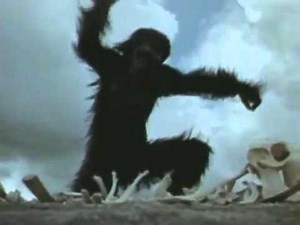 Roger Waters - Perfect Sense Parts 1 & 2