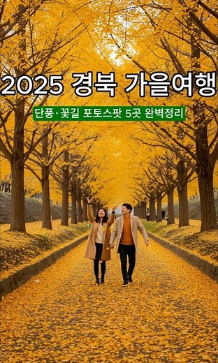 2025 Gyeongbuk Fall Trip! 5 Perfect Photo Spots for Fall Foliage and Flower Paths
