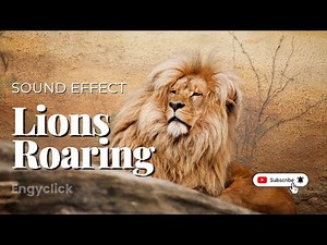 Lion Roaring Sounds | Scary & Realistic Lion Roar Sound Effect