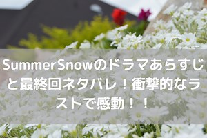 SummerSnowのドラマあらすじと最終回ネタバレ！衝撃的なラストで感動！！