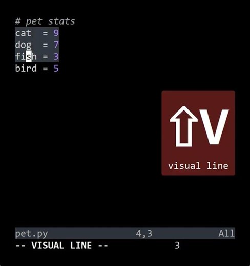 VimFu — Switching Visual Modes