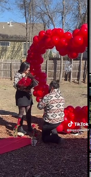 Engagement Proposal: A Romantic Journey Begins