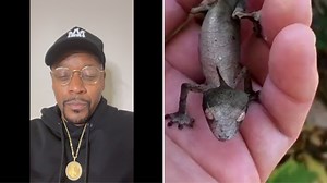 This is an alien!! Call me Check me out live at the Baltimore Comedy Factory August 18-20 Get tix here: 👇🏾👇🏾👇🏾👇🏾👇🏾👇🏾 https://www.baltimorecomedy.com/events/78035 Subscribe to my youtube page https://youtube.com/@LaVarWalkerTV See all upcoming events and sign up for my email list at www.lavarwalker.com | LaVar Walker Comedian