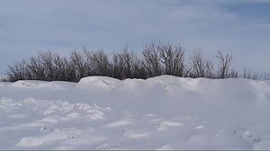 Here's how much snow fell during Wednesday's blizzard