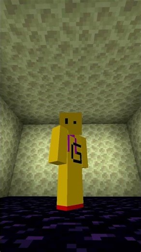 End Platform Secret in Minecraft #minecraft