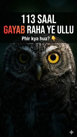 113 Saal Baad Mila Ye Ullu — India Ka Sabse Rare Bird | Forest Owlet documentary