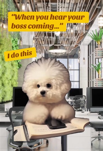 #Meme #MemeCut #funny#iamtheboss##bossbabe