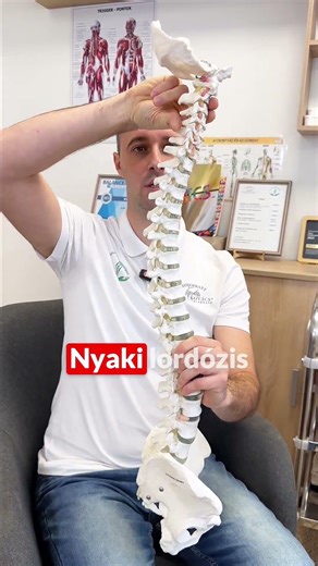 Latinul Zolival 12.rész - Lordózis #lordosis #fyp