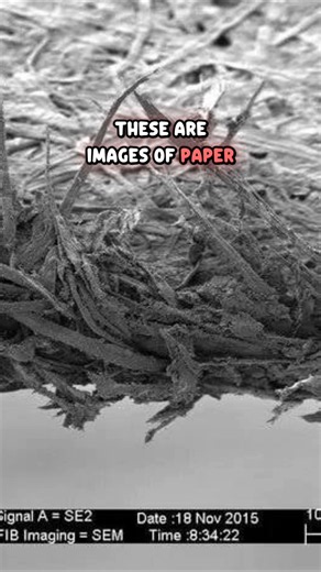 Paper Imaged By a Powerful Microscope