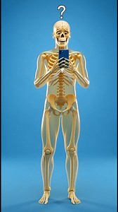 615K views · 10K reactions | ¿Y si el celular ya te está entrenando el cerebro sin que lo notes? #Doomscrolling #AdiccionAlCelular #TiempoEnPantalla #SaludMental #BienestarDigital #Psicologia #Habitos #Enfoque #Ansiedad #DesconexionDigital | Ciencia Visual | Facebook