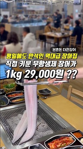 장어 1kg 29,000원 실화..? 광주 난리난 장어집 #더큰장어 #본촌동맛집 #광주장어맛집 #광주맛집 #광주장어 #북구맛집 #광주핫플 #광주가볼만한곳
