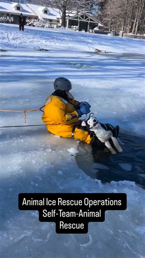2026 Animal Ice Rescue Operations in Detroit Michigan, Fire department personnel and animal welfare professionals learned safe techniques for ice rescue of self, team, small and large animals. #asartraining #animalrescue #technicalrescue #firefighter #ACO | ASAR Training and Response