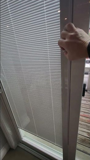 Patio Door with Built In Mini Blinds