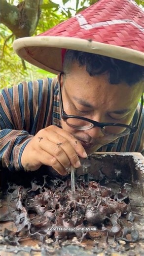 ASMR Drinking Wild Stingless Bee Honey Pots - 168 🍯 #shorts