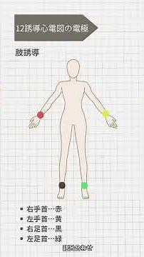 心電図の電極の位置を覚えよう！#臨床検査技師国家試験 ⁡#臨床検査技師#医療系学生