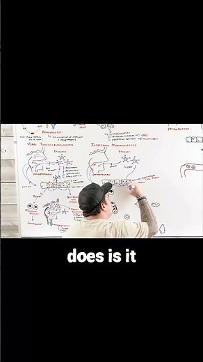 Why EBV is the Trickiest Virus:The B-Cell Takeover