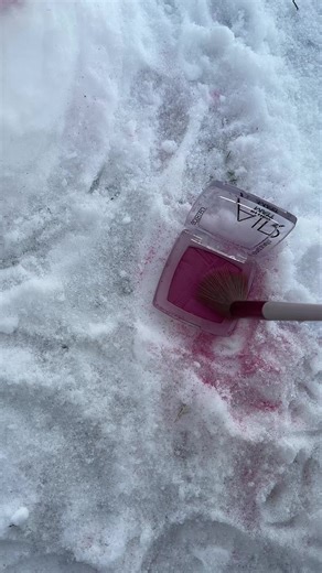 Mein Kätzchen ist das hübscheste: Süße Katzenmomente